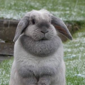 Meet your Posher, Kara